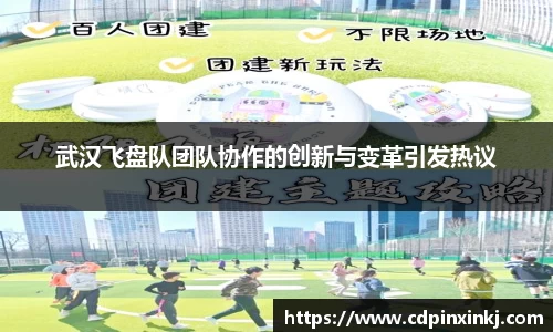 武汉飞盘队团队协作的创新与变革引发热议
